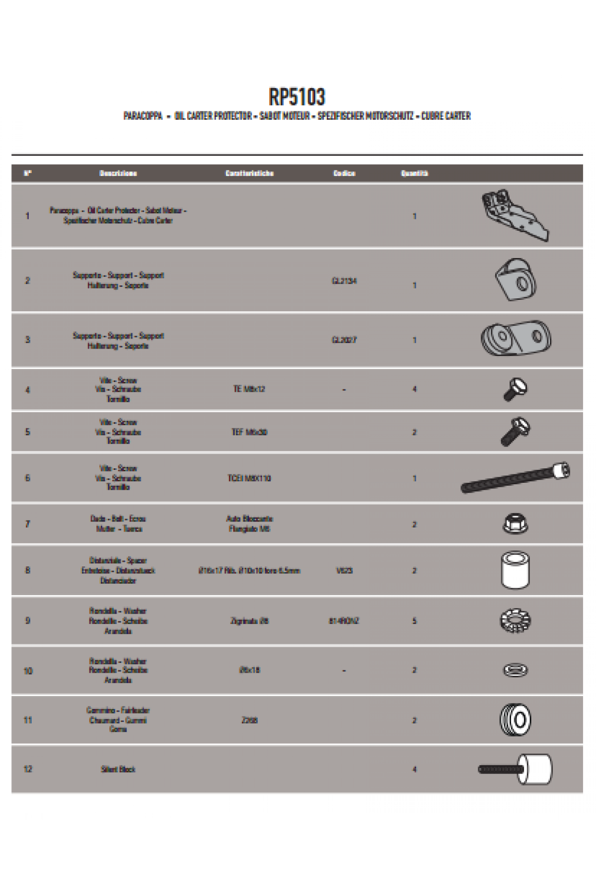 GIVI RP5103 BMW F650GS - F800GS (08-17) - F700GS (13-17) - F800GS ADV. (13-18) KARTER KORUMA